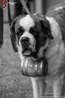 Servette premiere 11.10.20  2