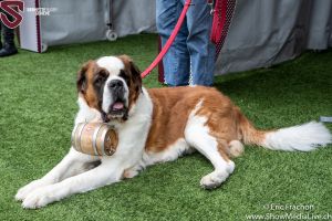 Servette premiere 11.10.20  5