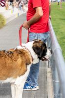 src beauvais premiere 17.09.23 frachon