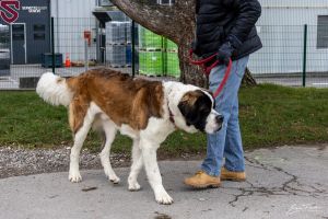 39 src puc premiere eric frachon.12.23 