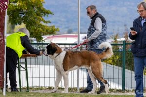 32 src csv premiere frachon.10.23 mascotte