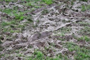 z.35 srg beauvais christophe espoirs divers