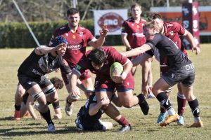 z.29 src csnuiton espoirs christophe 22 maillefaud