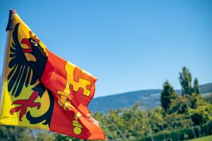 36srggennevilliers divers