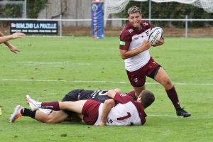 17srgoyo christophe dye