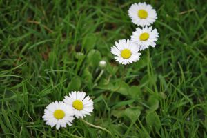 90 src tricastin christophe espoirs divers